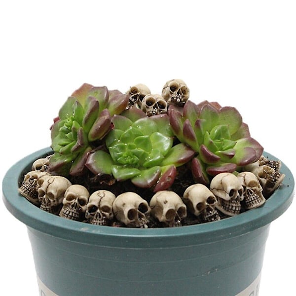 20 stk/sett Halloween Mini Hodeskaller Realistiske Hodeskaller Miniatyr Harpiks Menneskelig Skjelett Hode Hodeskalle For Vase Bar Hjem Bord Dekor