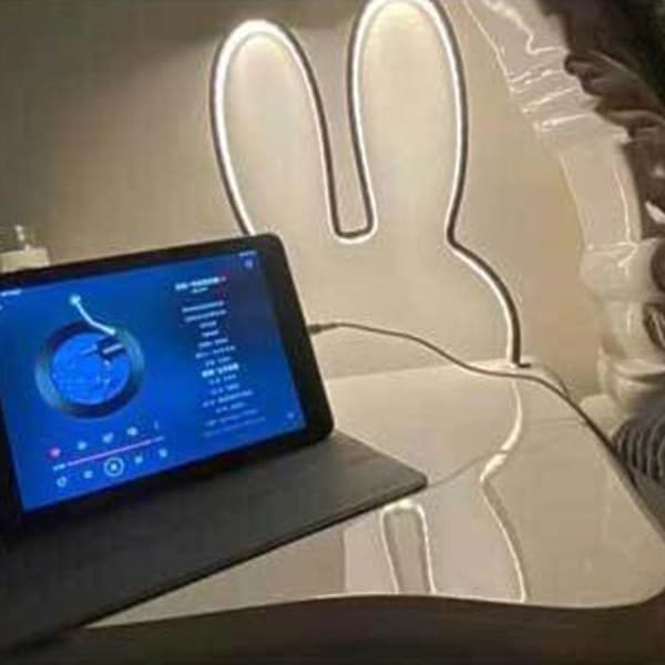 Decorative Room Lights for Teens, Easter Gifts, Warm Light Easter Atmosphere Neon Lights, LED Rabbit Lights, USB Plug Wall Lights