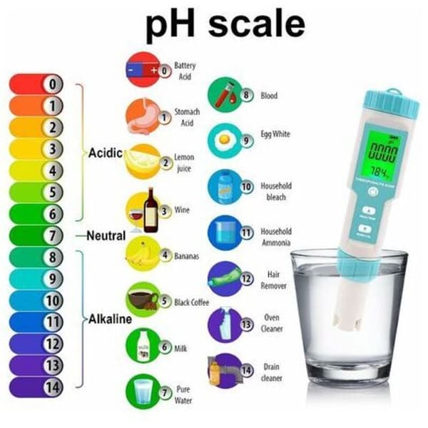 5-in-1 Digital Pool Salinity Tester, pH and Saltwater Meter, pH and Salinity Meter for Pools, Jacuzzis and Swim Spas