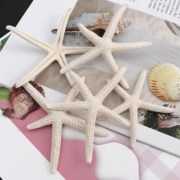Beige Blyant Finger Havstjerner til Bryllupsdekoration, Hjemmedekoration og Håndværksprojekt (6 stk., Beige)