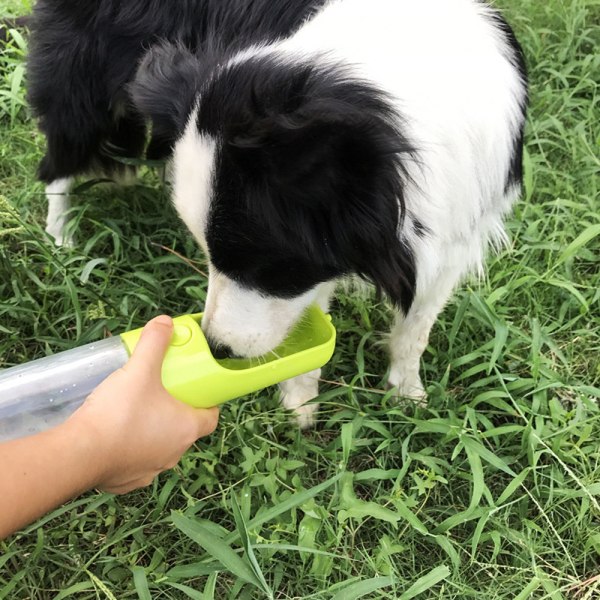 Kannettava Pet Cup Pet Water Feeder Pet Dog Travel Green Pet Drinking Cup