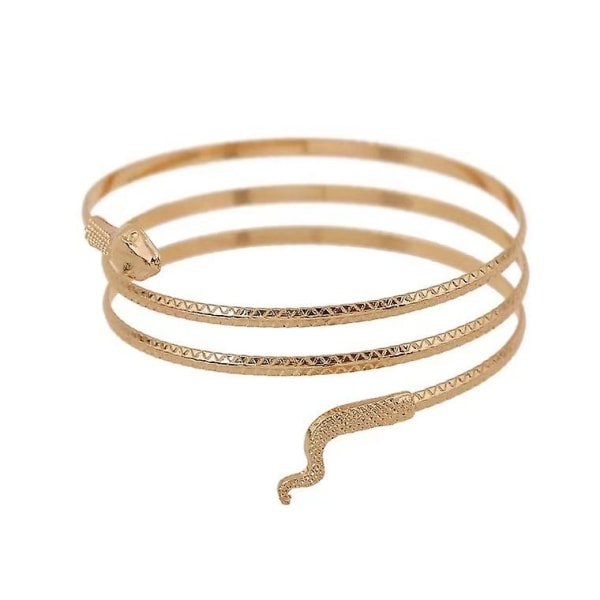 Upprullat ormarmband Ankelband Spiral överarmsmanschett Armlåd Armband Armband Punk Style (2st, guld)