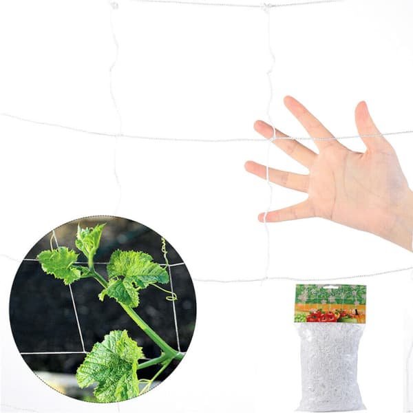 Klatreplante Net Hegn Espalier Net Støtte
