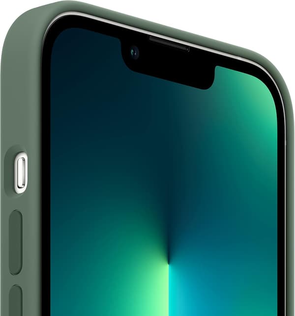 Silikondeksel med MagSafe (for iPhone 13 Pro) – Eucalyptus
