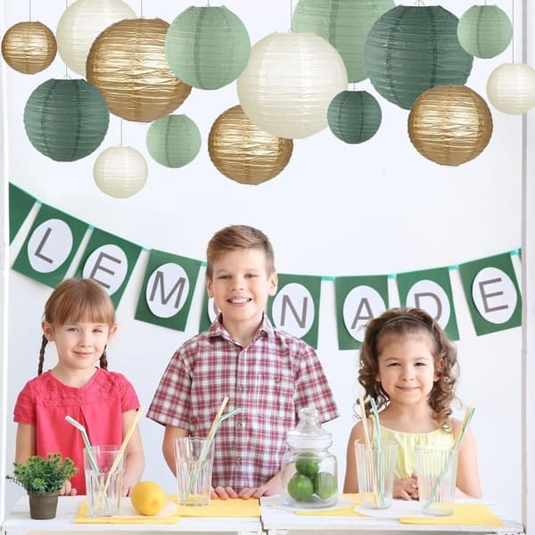 Decorative Paper Lanterns, Round Hanging Paper Lantern Decorations for Rustic Party Bridal Shower Wedding 15 pcs