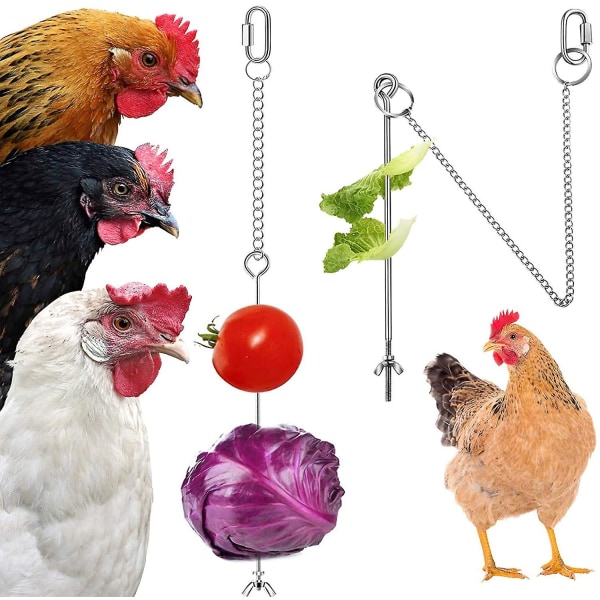 Hanging Chicken Feeder Chicken Parrot Hanging Bird Feeder Stainless Steel Chicken Feeder Toy