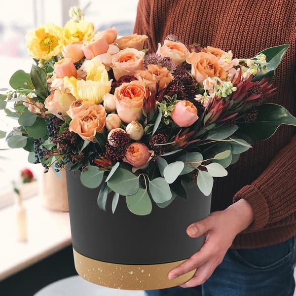 Et sæt med 2 sorte 8-tommer potter, indendørs potter med dræning