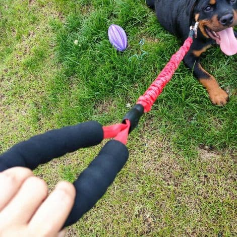 Large Dog Leash, 20-60 kg, Strong, Elastic (120 cm, Red)