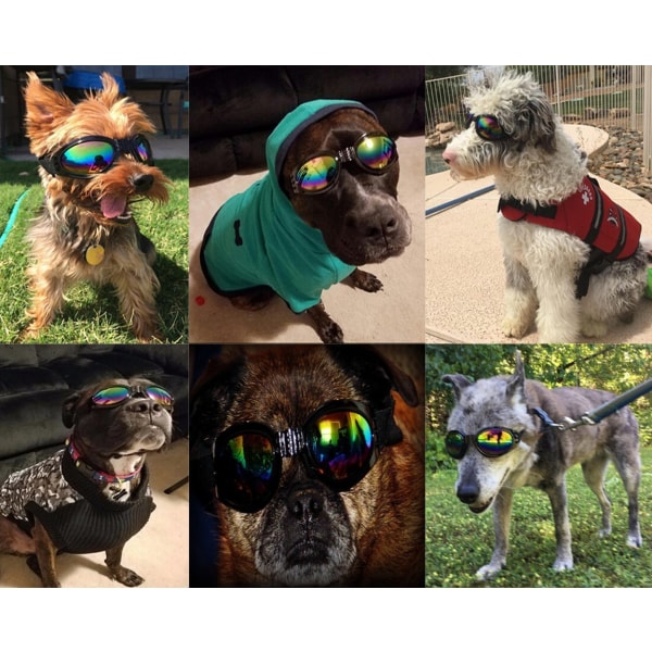 Hopfällbara Pet Solglasögon Bärbara Hund Solglasögon Protector UV-skydd Pet Solglasögon 1 ST Svart