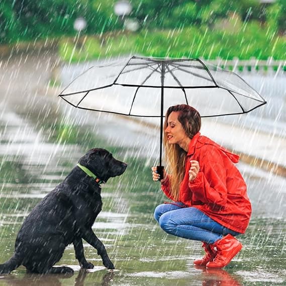 Automatic Folding Transparent Umbrella, Automatic Opening and Closing Transparent Folding Umbrella Transparent Umbrella