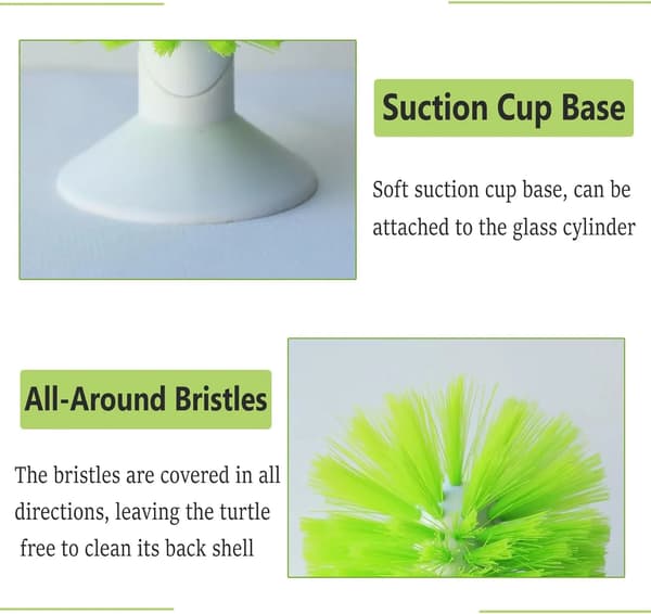 Turtle Shell Cleaning Brush with Suction Cup, Soft Bristles for Aquarium Turtles, Green