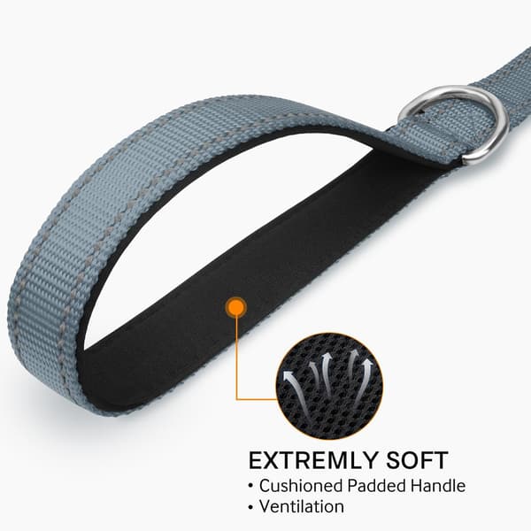 Reflective Nylon Dog Leash with Padded Handle Double-Sided Training Lead for Medium and Large Dogs 1.8m x 2.5cm Grey