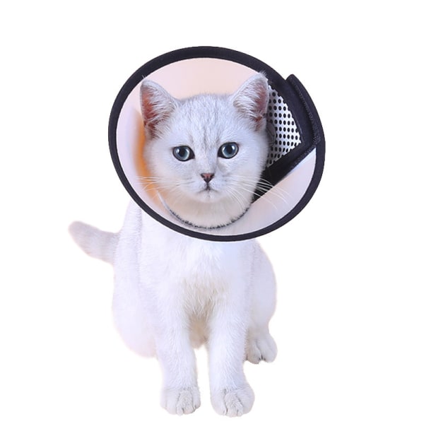 Cat Cone Collar, Elizabeth Collar for Pets, Justerbar, Andas-21-24cm