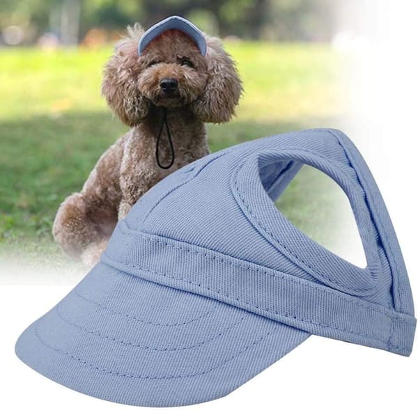 (M-Blå), Hunde Sport Cap Kat Baseball Cap Kæledyr Udendørs Solhat Fa