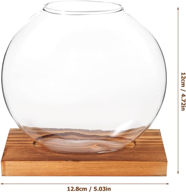 Hydroponic Bottle Desktop Decoration with Rounded Corners Wood and Glass Artistic Hydroponic