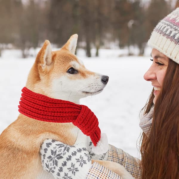(Medium) Jul Hund Katt Nisse Skjerf, Hund Vinter Strikket Skjerf