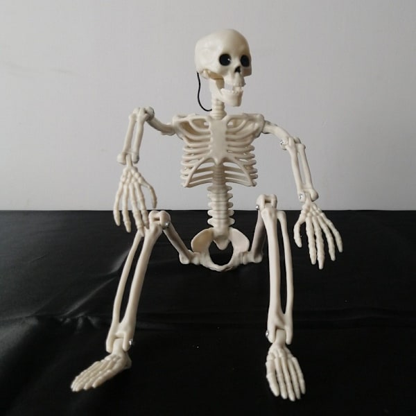 Halloween Skelet Fuldkrop Realistisk Menneskelig Plastikknogler til Halloween Indendørs Udendørs Spooky Scene Party Favors