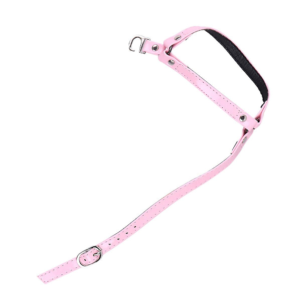 Elastiske Skolisser med Avtakbare Ankelstropper, Elastiske Skolisser til Sandaler, Erstatning, Rosa, 34 x 6 cm Pink 34X6CM