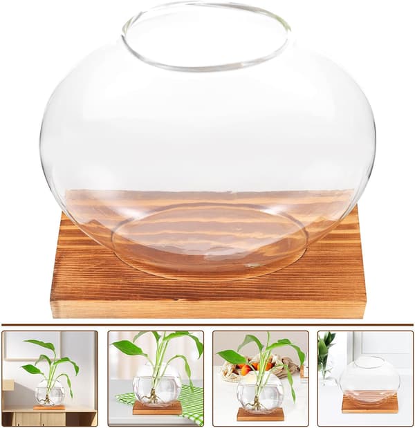 Hydroponic Bottle Desktop Decoration with Rounded Corners Wood and Glass Artistic Hydroponic