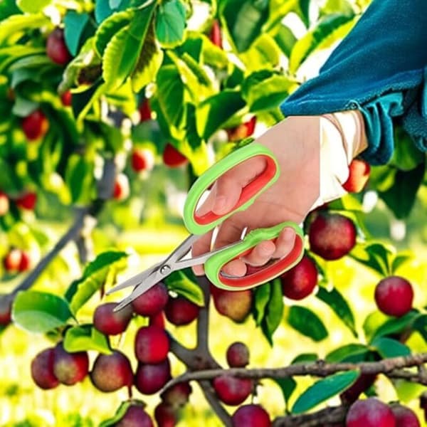 Garden Pruning Shears, Japanese Bonsai Garden Tools, Fruit Tree Branch Pruning Shears, Grape Pruning Shears