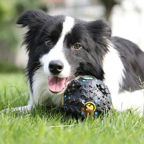 Pet Touch Giggle Godteball