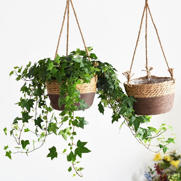 Vägghängande Korgar Hängande Korg Halmvävd Blomkruka Chlorophytum Kreativ Väggmonterad Behållare Rattan