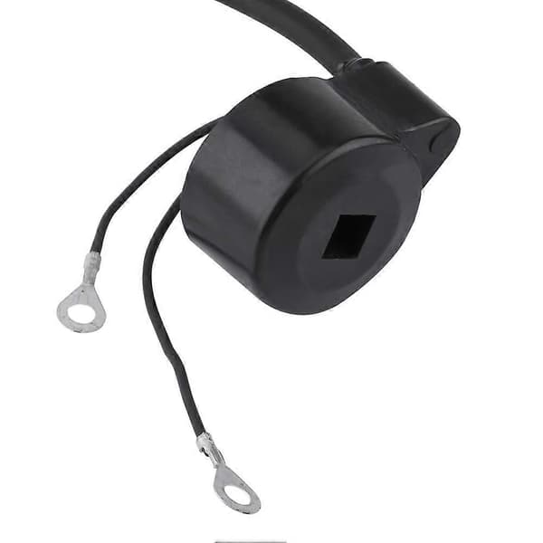 Ignition Coil Module for Small Engine for Tecumseh 30560A 29632 30546 610768 611038 Engine 2024THO