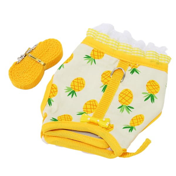 Rabbit Vest Harness with Fruit Print, Lace Trim, Hook and Loop Design, Small Pet Harness Set for Chinchilla, Ferret, Size M