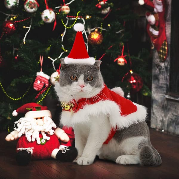 Justerbart sødt julemandskostume til kat, julekostume til kæledyr
