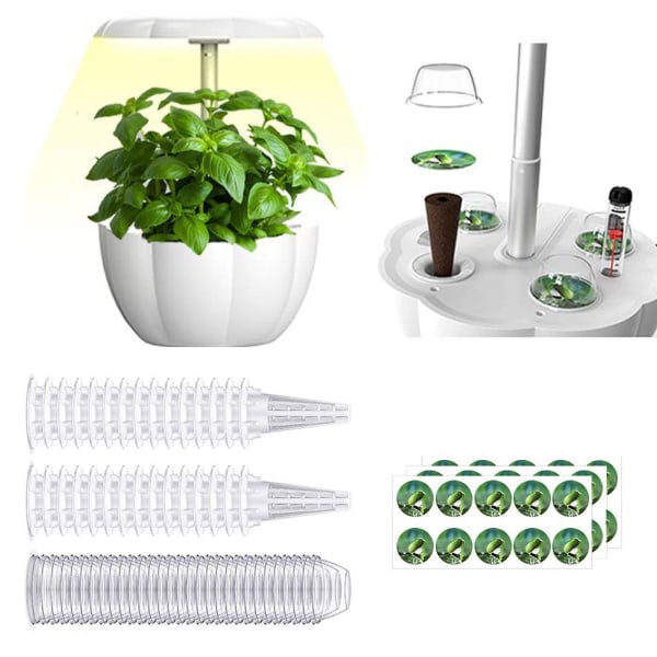 Grönt frökapselkit Gröna bladgrönsaker, Romarin- och Butterhead-sallad Frökapselkit (kit 1: 30 st