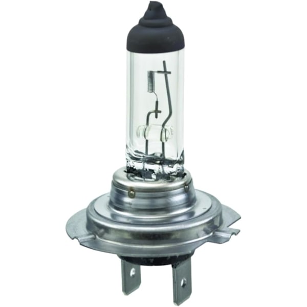Standard Halogenpære, 12 V, 55W
