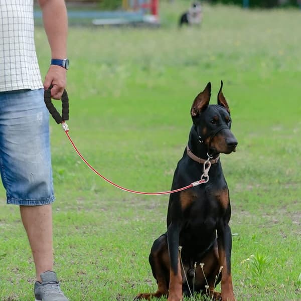Dog Leash Tangle-Free Steel Dog Leash with Comfortable Handle