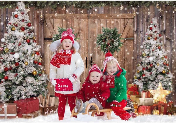 7x5FT Stoff Vinter Jul Rustikk Låvedør Fotografi