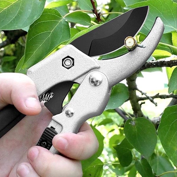 Trädgårdssaxar, Handhållna Belagda Rostfria Stålblad Saxar Trädgårdsverktyg, för Att Klippa Ros, Blommor, Träd, Häck