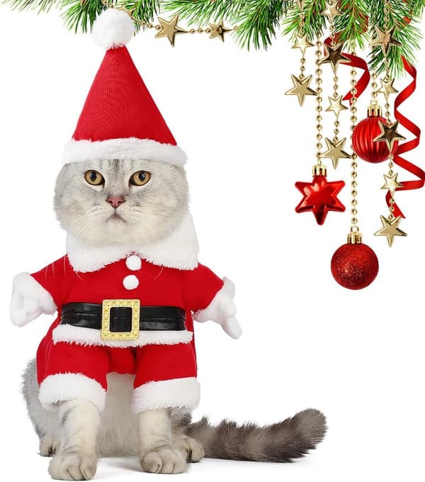 (S) Kat Juleoutfit, Legendog Julekæledyrstøj Søde Julemanden