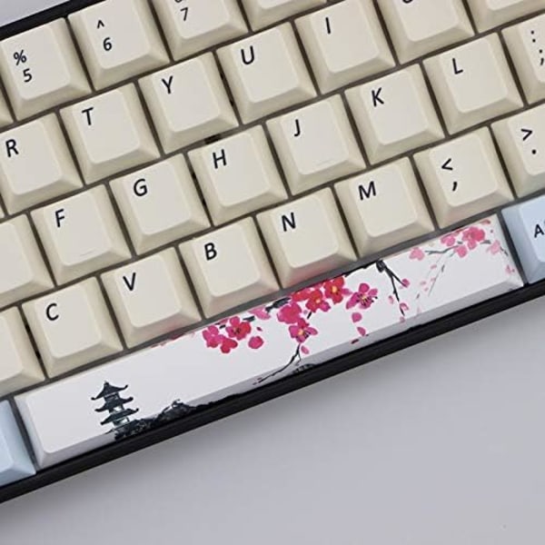 PBT Five Sides Dye-subbed Space Bar 6.25U Profil Keycap för mekaniskt tangentbord (Färg: KIT 9)