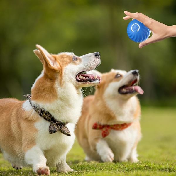 Självrullande boll hundleksak - Interaktiv hundboll - Smart självgående boll med 2 lägen - Uppladdningsbara interaktiva kattleksaker | Hållbar och