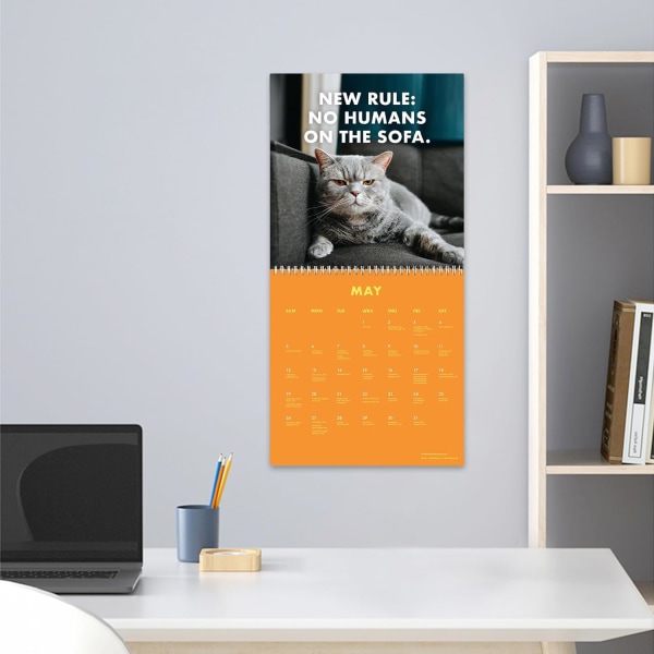 2024 Pissed Off Cats Calendar - Funny Cat Wall Calendar - Cats Wall Calendar 2024 - Funny Monthly Cats Images - Desktop Ornament Desk