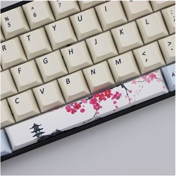 PBT Five Sides Dye-subbed Space Bar 6.25U Profile Keycap för mekaniskt tangentbord (Färg: KIT 2)