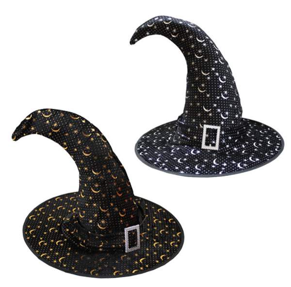 Halloween Witch Wizard Hat Klassisk cap Huvudbonad silver