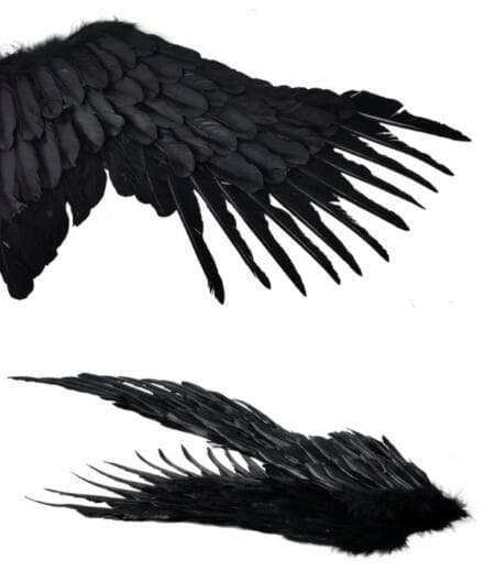 Ängelvingar med elastiska Halloween-kostymvingar Black M