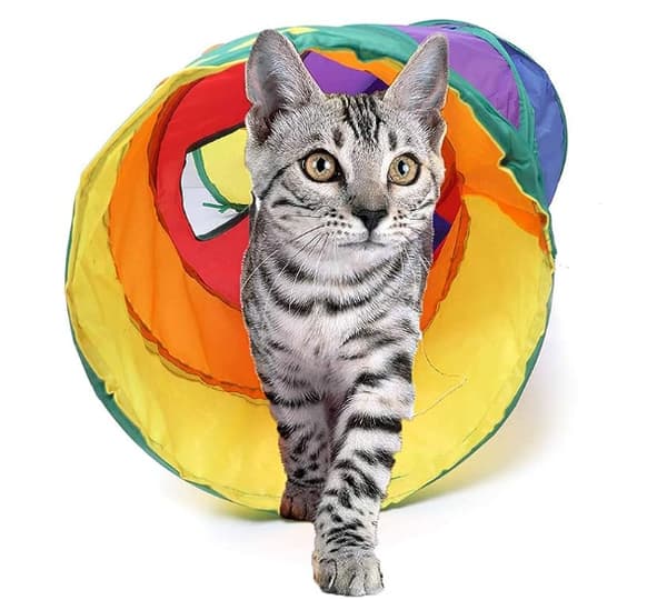 Kattunnel, Kattuber för Innekatter, Hopfällbar Rainbow S shape