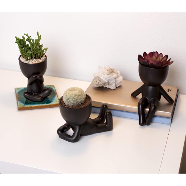 Mini Dekorative Potter til Planter Style 2