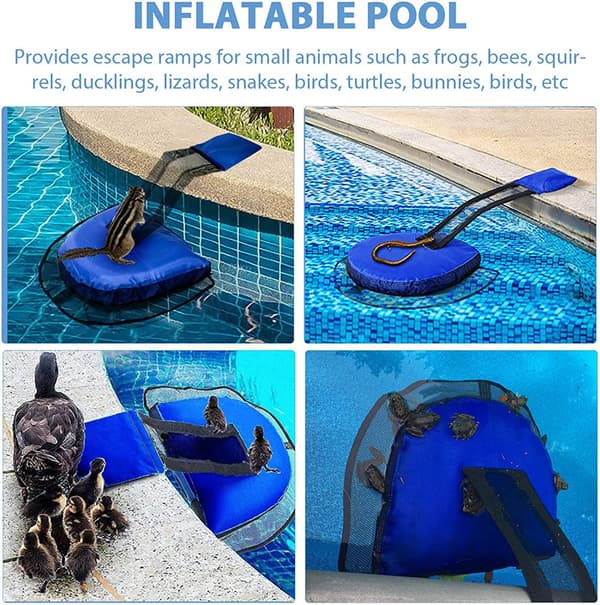 Poolramp för djur att fly Blue