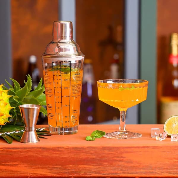 14oz Cocktail Shaker Bar Sæt, 16 Dele