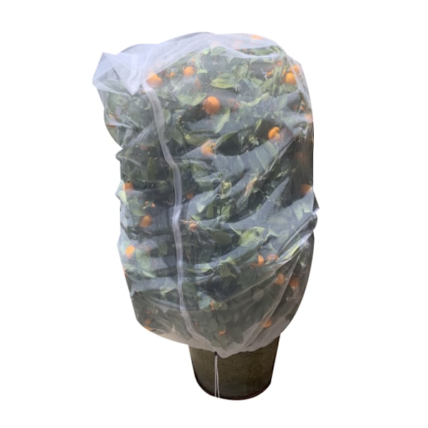 Trädgård Bug Nätväxt cover Fruktträd Net 150*80CM