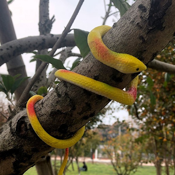 5 st Realistic Fake Snakes Leksak Mjuk Gummi Orm Figur Trädgårdsslang 5PCS#2