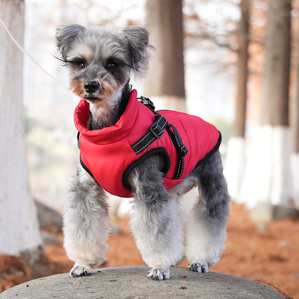 Hundevinterjakke med Sele, Vandafvisende Hundejakke med Lynlås og Fleece Black S