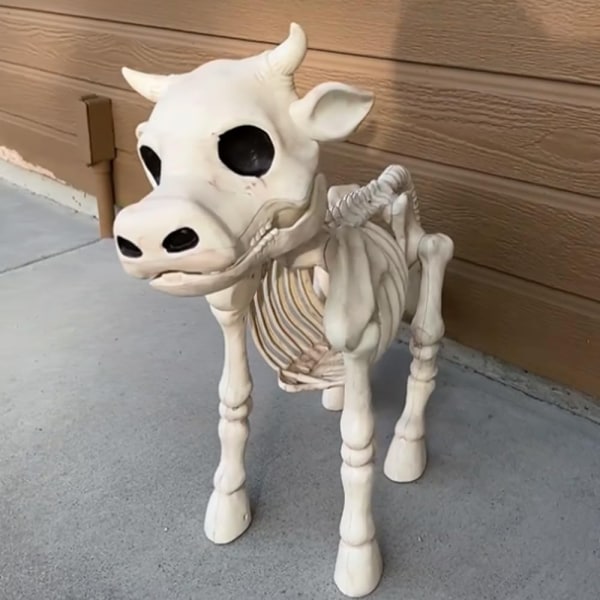 Ko-Hest Skelet Halloween Dekoration horse