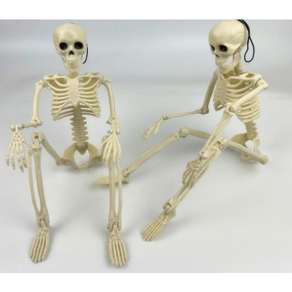 Halloween Justerbart Menneskeskelet med Skeletled 40CM